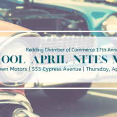 17th Annual Kool April Nights Mixer & Show and Shine