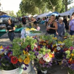 The NEW Shasta County Farmers Market ~ Saturdays