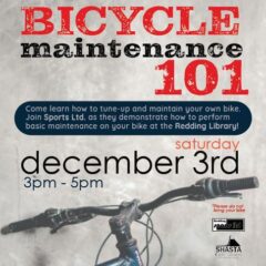 Bike Maintenance 101