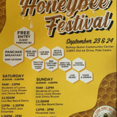 42nd Annual Palo Cedro Honeybee Festival